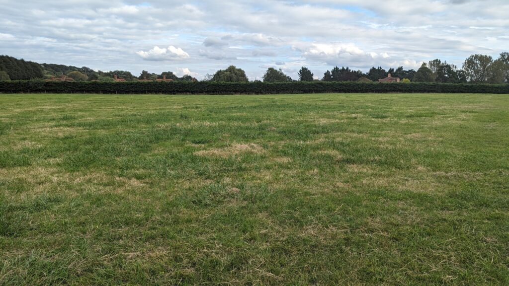 Panoramic view of the enclosed dog field